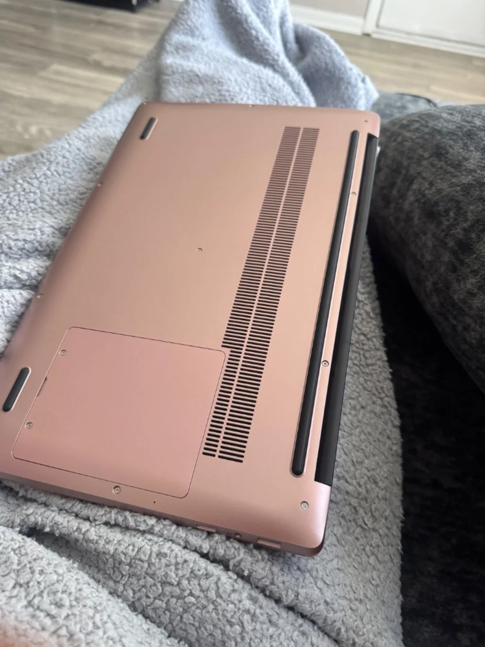 15.6 rose gold hp intel laptop for work or study